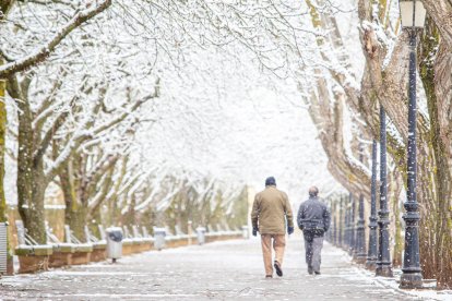 La nieve da paso a una mañana de fotos invernales. MARIO TEJEDOR (59)