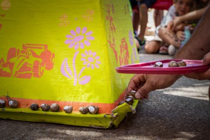 Carrera de caracoles en Peroniel.-G. MONTESEGURO
