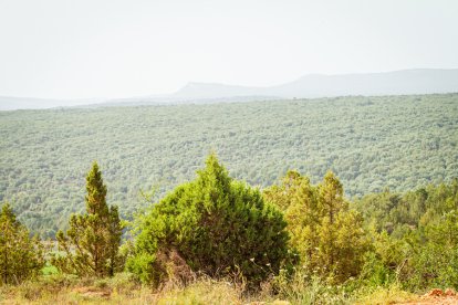 Apertura del tramo del Temeroso en la Autovía del Duero, A-11. MARIO TEJEDOR