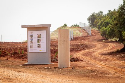 Apertura del tramo del Temeroso en la Autovía del Duero, A-11. MARIO TEJEDOR