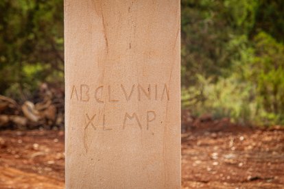 Apertura del tramo del Temeroso en la Autovía del Duero, A-11. MARIO TEJEDOR