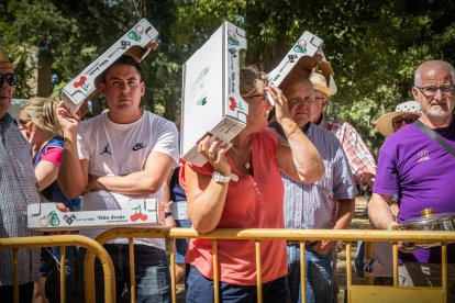 Caldereta en Almazán.-GONZALO MONTESEGURO