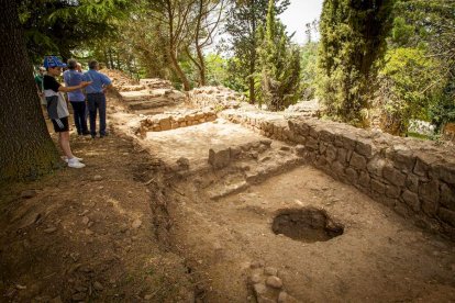 Visita guiada a las obras de la muralla - MARIO TEJEDOR (50)