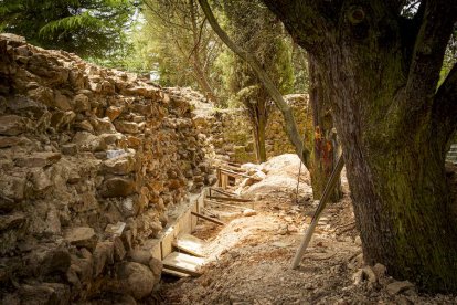 Visita guiada a las obras de la muralla - MARIO TEJEDOR (56)