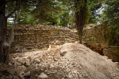 Visita guiada a las obras de la muralla - MARIO TEJEDOR (57)