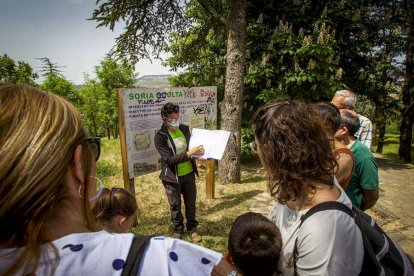 Visita guiada a las obras de la muralla - MARIO TEJEDOR (2)