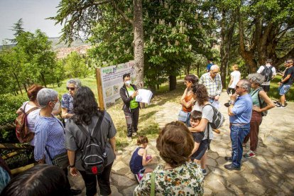 Visita guiada a las obras de la muralla - MARIO TEJEDOR (3)
