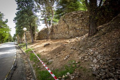 Visita guiada a las obras de la muralla - MARIO TEJEDOR (4)