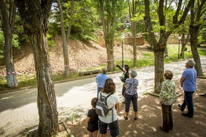 Visita guiada a las obras de la muralla - MARIO TEJEDOR (9)