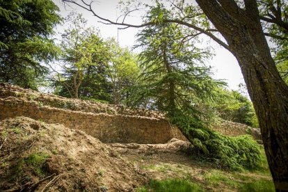 Visita guiada a las obras de la muralla - MARIO TEJEDOR (10)