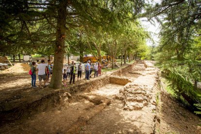 Visita guiada a las obras de la muralla - MARIO TEJEDOR (46)