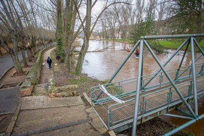 Complicaciones por la meteorología en la zona del río Duero a su paso por la capital. MARIO TEJEDOR (6)