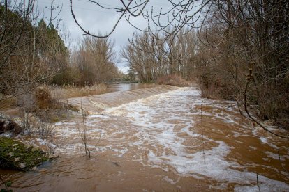 Complicaciones por la meteorología en la zona del río Duero a su paso por la capital. MARIO TEJEDOR (8)