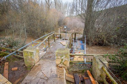 Complicaciones por la meteorología en la zona del río Duero a su paso por la capital. MARIO TEJEDOR (9)