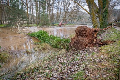 Complicaciones por la meteorología en la zona del río Duero a su paso por la capital. MARIO TEJEDOR (15)