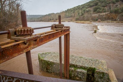 Complicaciones por la meteorología en la zona del río Duero a su paso por la capital. MARIO TEJEDOR (18)