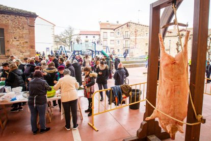 La matanza del cerdo en Garray. MARIO TEJEDOR (13)