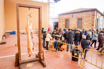 La matanza del cerdo en Garray. MARIO TEJEDOR (14)