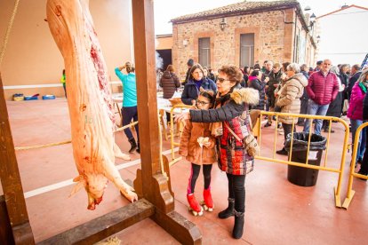 La matanza del cerdo en Garray. MARIO TEJEDOR (37)