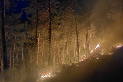 Incendio en Navarra contra el que lucha la BRIF de Lubia. HDS