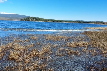 Embalse de Cuerda del Pozo. HDS