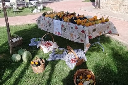 Concurso de calabazas en San Esteban.-A. H.