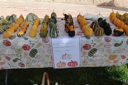 Concurso de calabazas en San Esteban.-A. H.