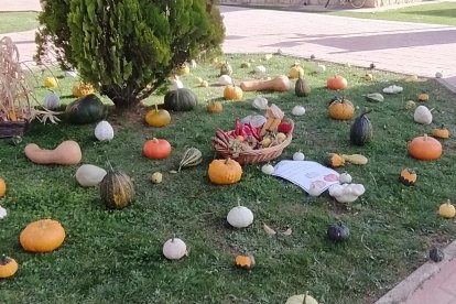 Concurso de calabazas en San Esteban.-A. H.