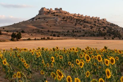 «Cerro de relatos». Castillo de Gormaz. Álvaro Muñoz de Pablo