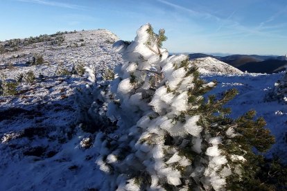 Subida a Urbión de su primer Belén. A.S./M.B.