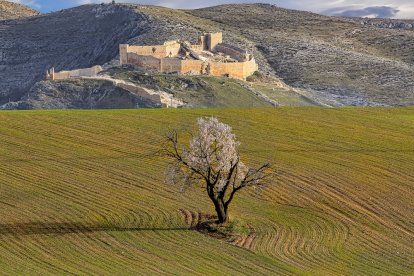 «Fortaleza y naturaleza». Ciudad de Osma. Vicente B. Díez Hernández