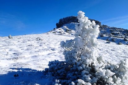 Subida a Urbión de su primer Belén. A.S./M.B.