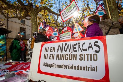 Concentración contra la ganadería industrial. MARIO TEJEDOR (11)
