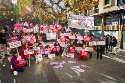 Concentración contra la ganadería industrial. MARIO TEJEDOR (17)