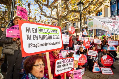 Concentración contra la ganadería industrial. MARIO TEJEDOR (19)