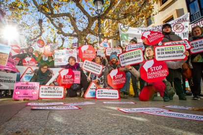 Concentración contra la ganadería industrial. MARIO TEJEDOR (21)