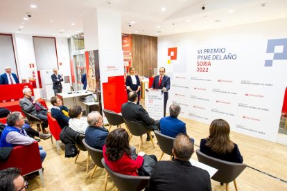 VI Premios PYME del año. MARIO TEJEDOR