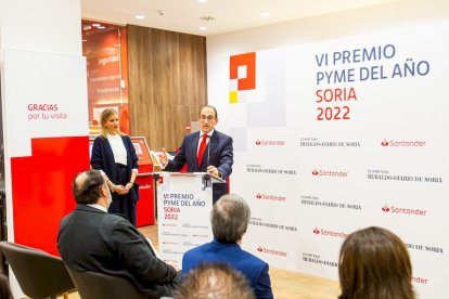 VI Premios PYME del año. MARIO TEJEDOR