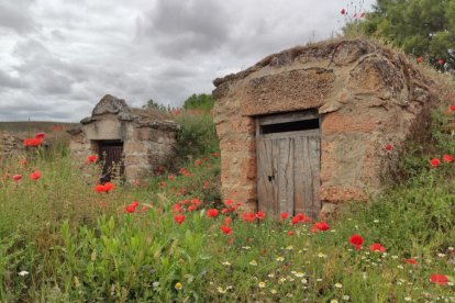 Jornada inaugural del Huerto poético en Quintanas Rubias de Arriba.-ANA HERNANDO