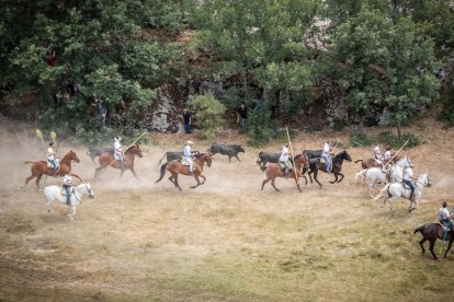 La Saca 2022 en el monte.-GONZALO MONTESEGURO