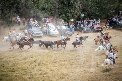 La Saca 2022 en el monte.-GONZALO MONTESEGURO