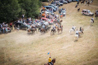 La Saca 2022 en el monte.-GONZALO MONTESEGURO