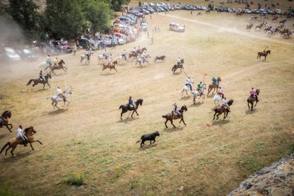 La Saca 2022 en el monte.-GONZALO MONTESEGURO