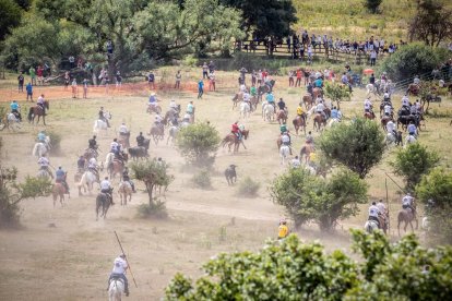 La Saca 2022 en el monte.-GONZALO MONTESEGURO