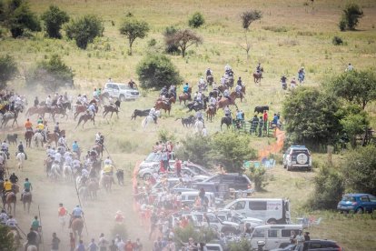 La Saca 2022 en el monte.-GONZALO MONTESEGURO