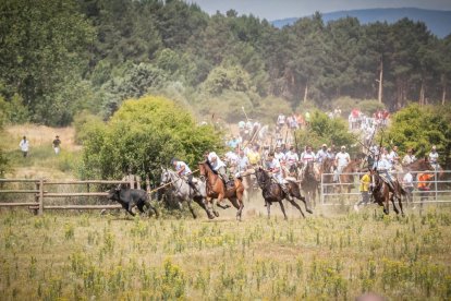 La Saca 2022 en el monte.-GONZALO MONTESEGURO