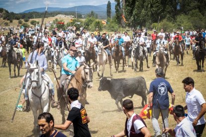 La Saca 2022 en el monte.-GONZALO MONTESEGURO