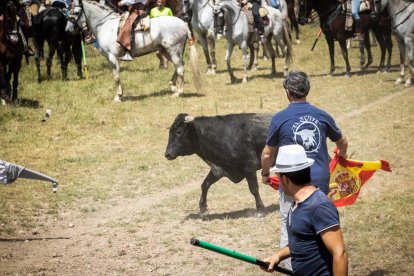 La Saca 2022 en el monte.-GONZALO MONTESEGURO