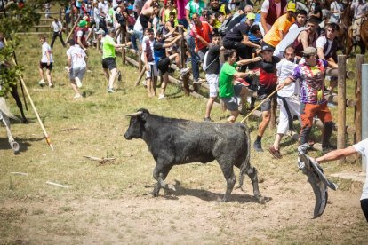 La Saca 2022 en el monte.-GONZALO MONTESEGURO