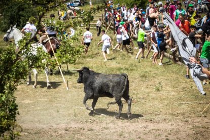 La Saca 2022 en el monte.-GONZALO MONTESEGURO